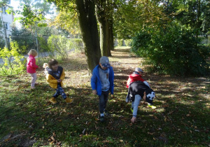Dzieci rozproszone po parku spacerują z pochyloną głową i szukają kasztanów.